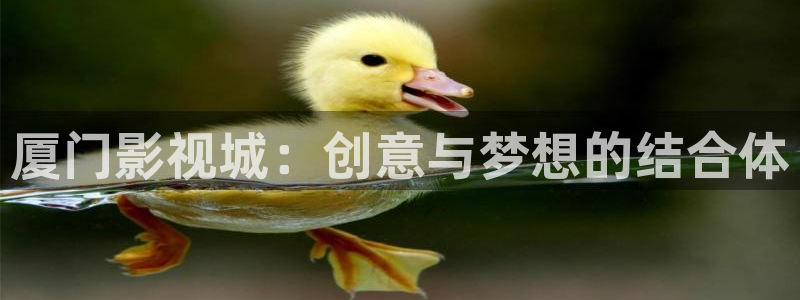 可可影视下载电影储存完位置：厦门影视城：创意与梦想的结合体