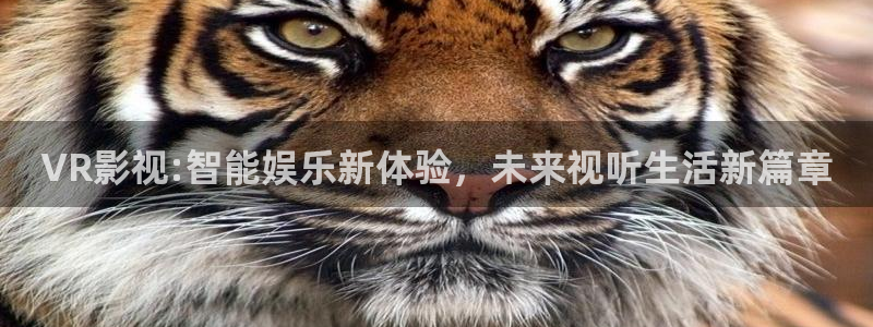 可可电影网：VR影视:智能娱乐新体验，未来视听生活新篇章